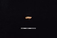 陶把藏品圖，第1張